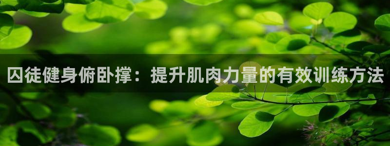意昂2娱乐