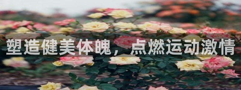 意昂2平台