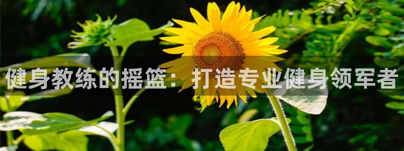 意昂2招商
