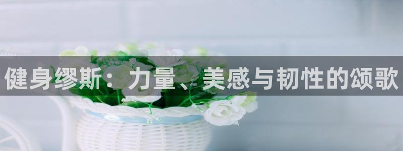 意昂2招商