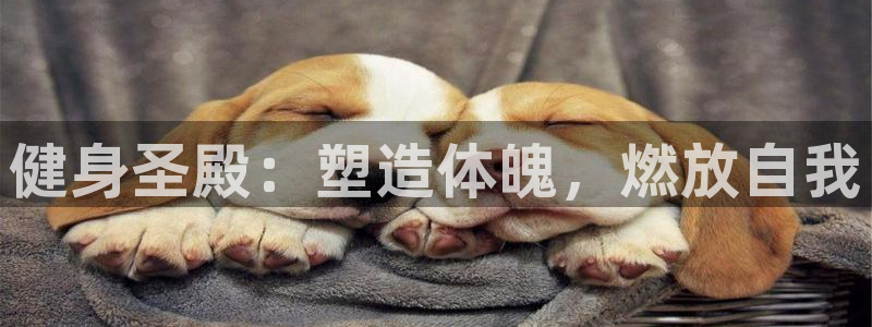 意昂2官方平台
