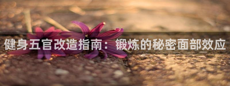 意昂2官网