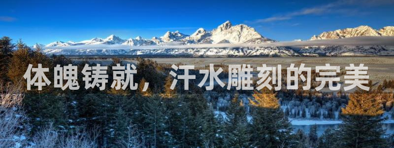 意昂2官网