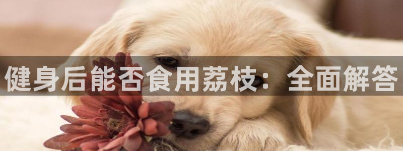意昂2招商