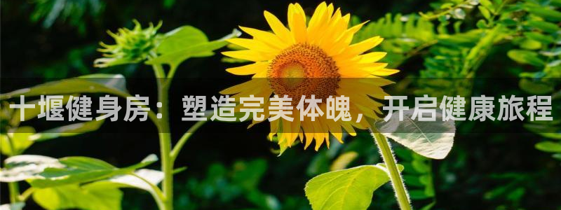 意昂2登录