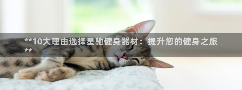 意昂2招商