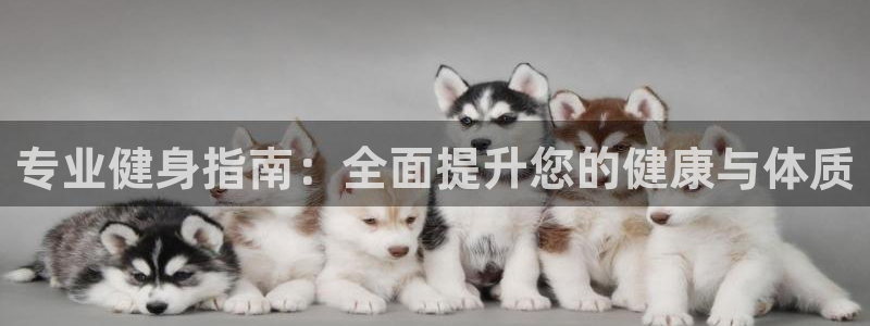 意昂2代理
