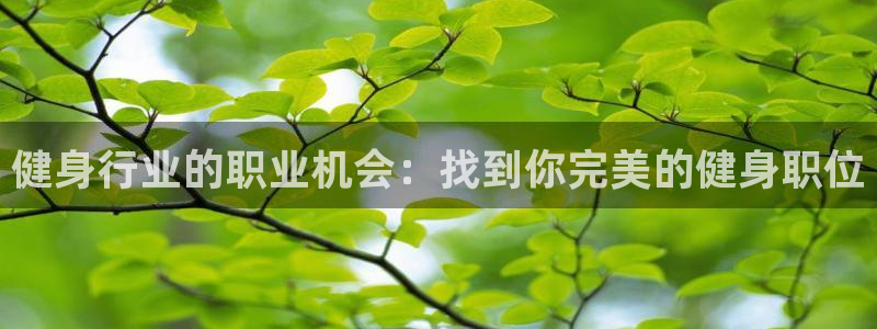 意昂2官方网站