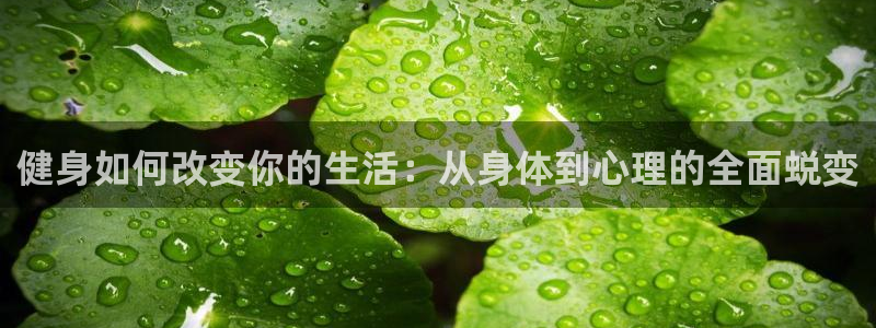 意昂2招商