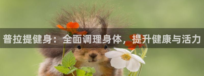 意昂2代理