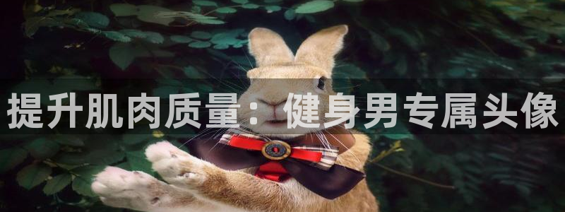 意昂2招商