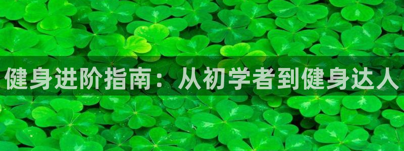 意昂2招商
