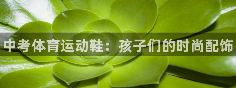 77体育官网