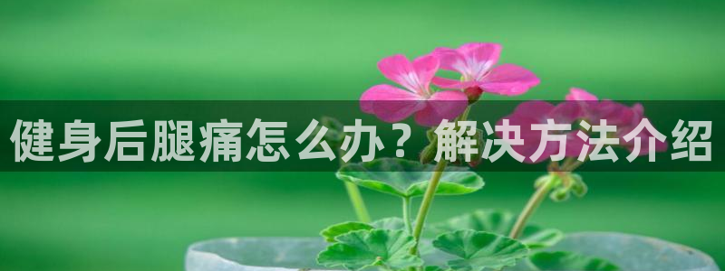 77体育
