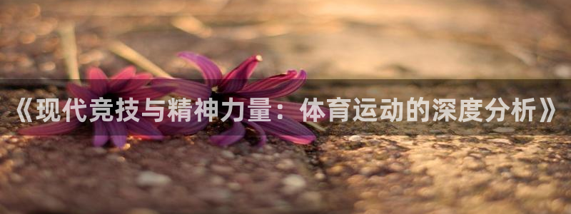 77体育官网