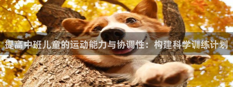 77体育官网