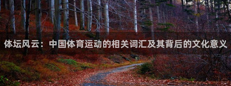 77体育app下载官网