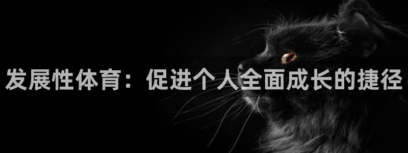 77体育app下载官网
