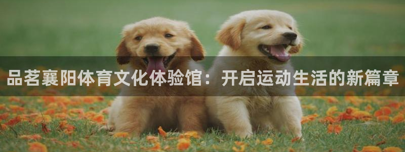 77体育官网