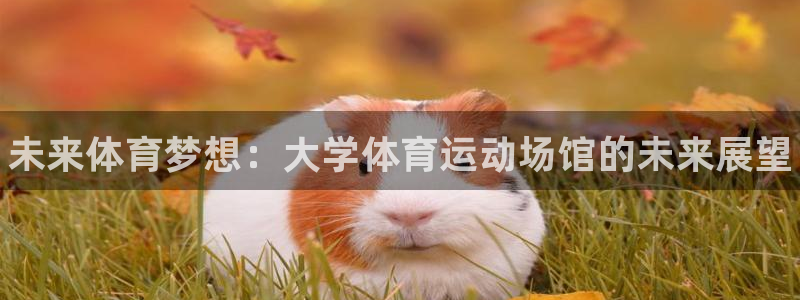 77体育