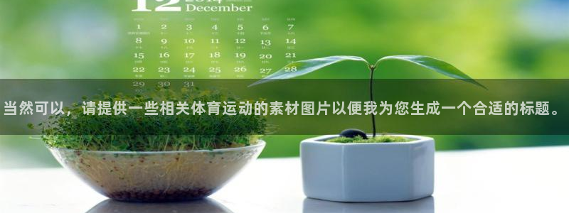77体育官网