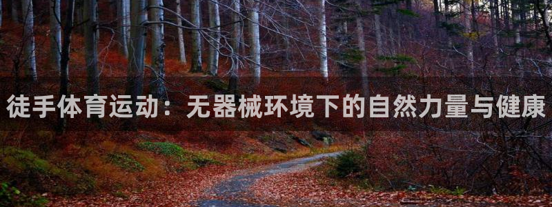 77体育官网