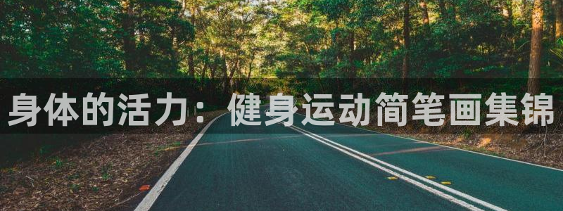 77体育app下载官网