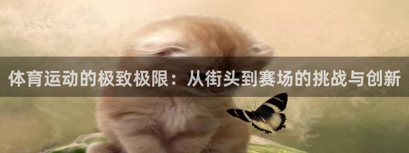 77体育app下载官网