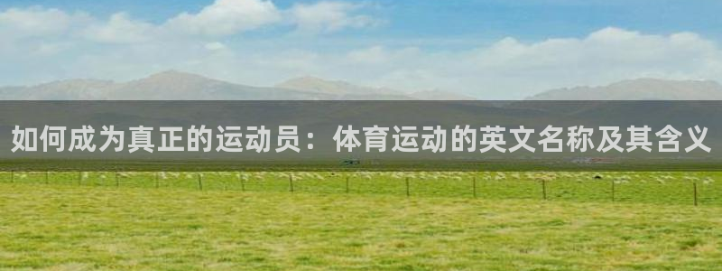 77体育app下载官网