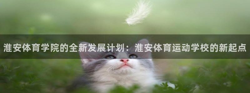 77体育app下载官网