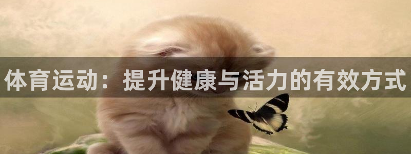 77体育app下载官网