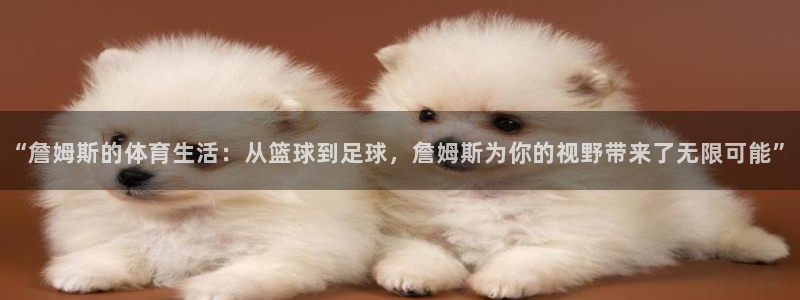 77体育